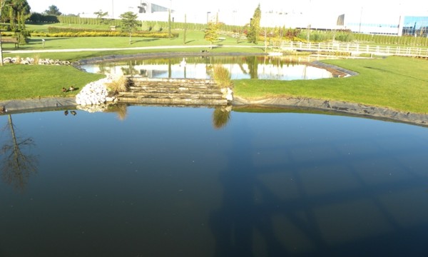 Creacion de lagoas e adecuacion do seu entorno no Xardin Botanico de Cerceda
