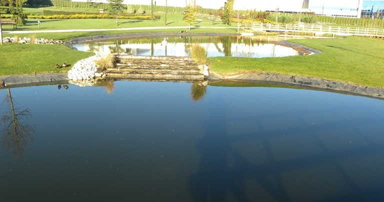 Creacion de lagoas e adecuacion do seu entorno no Xardin Botanico de Cerceda